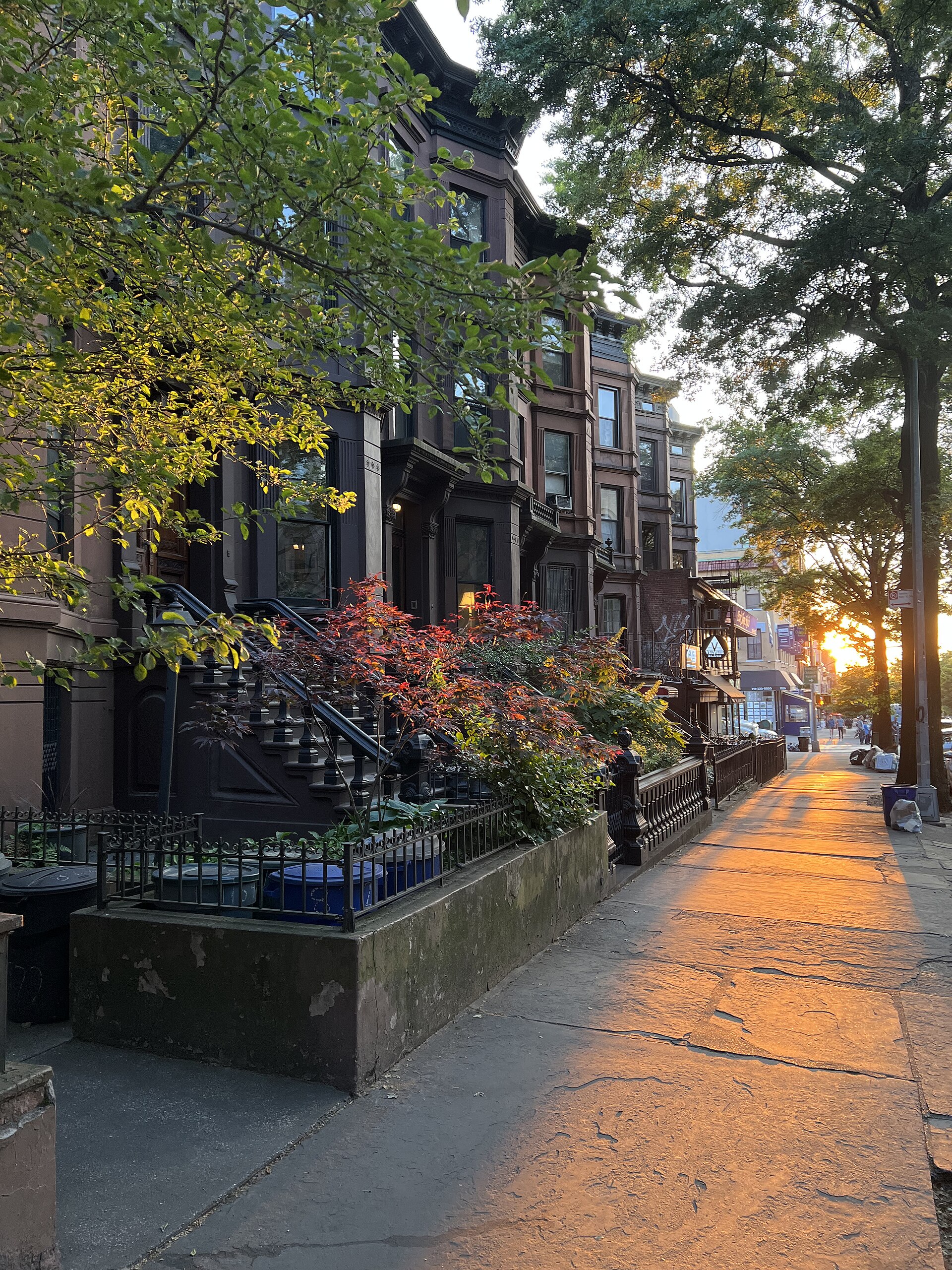 Brownstone row houses along Union Street in Park Slope, Brooklyn at golden hour